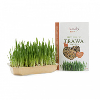 Cat grass seeds cat treat 100 g