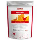 Poultry vitamins for coccidiosis, bacteria and fungi KokciFos Dolfos 1 kg
