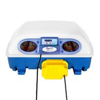Inkubator do jaj Borotto Real 49 Auto
