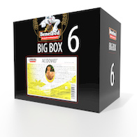 ACIDOMID BIGBOX 6000 ml zakwaszacz przeciw kokcydiozie i pleśni dla królików