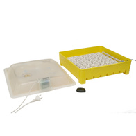 Home incubator iKar 42/120 AUTO with remote control