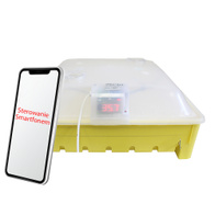 Incubator hatchery for eggs iKar with semi-automatic tray