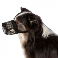 Muzzle protecting against eating garbage excrement M