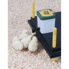 Drinker for quails and chicks with a 0.5 l hopper for cages and rearing units