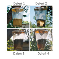 Trap attracting flies and wasps flytrap REDTOP 3l