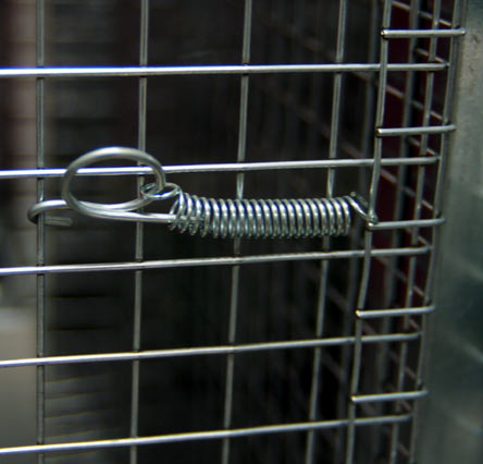 Spring for aviaries with hooks for closing the cage flap - 70 mm