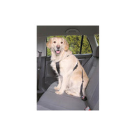 Car harnesses for dogs size L 70-90 cm