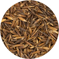 Owies paszowy czarny dla kur gołębi koni królików 20 kg