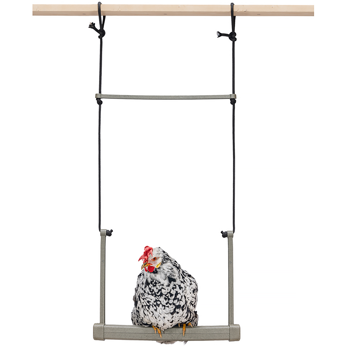 Chicken Swing Toy for Chicken Coop | Poultry Enrichment Perch