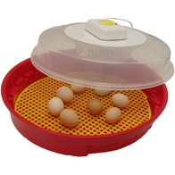 Home incubator PULSOR 70