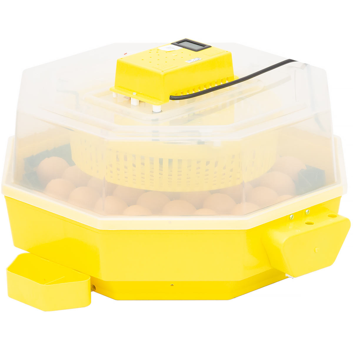 Egg incubator iBator Home AUTO with motor, automatic egg rotation + hatcher