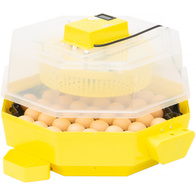 Egg incubator iBator Home AUTO with motor, automatic egg rotation + hatcher