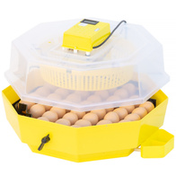 iBator HOME 60 egg incubator with display and semi-automatic tray