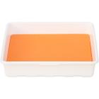 Swimming pool litter box with Eco mat for disinfection of shoes for livestock buildings