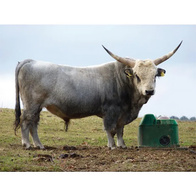 Single-ball frost resistant drinker Thermolac 40 GV for cattle and horses