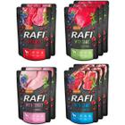 Wet dog food RAFI MIX flavors in sachets set 10 x 300 g