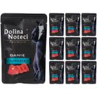 Wet cat food Dolina Noteci Premium tuna 10 x 85 g