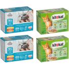 KITEKAT FRENDI wet cat food mix flavors in sauce 48 x 85 g