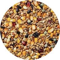Pigeon food seasonal SE AGRO KING 25 kg