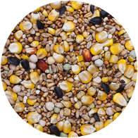 Pigeon food seasonal SE AGRO KING 25 kg