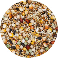 Pigeon food without wheat BP AGRO KING 25 kg