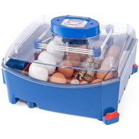 Automatic egg incubator Lumia 16 Borotto with tray for different eggs