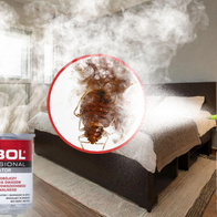 Bedbug bomb fumigator + spraying - super strong set P-Bomb XL