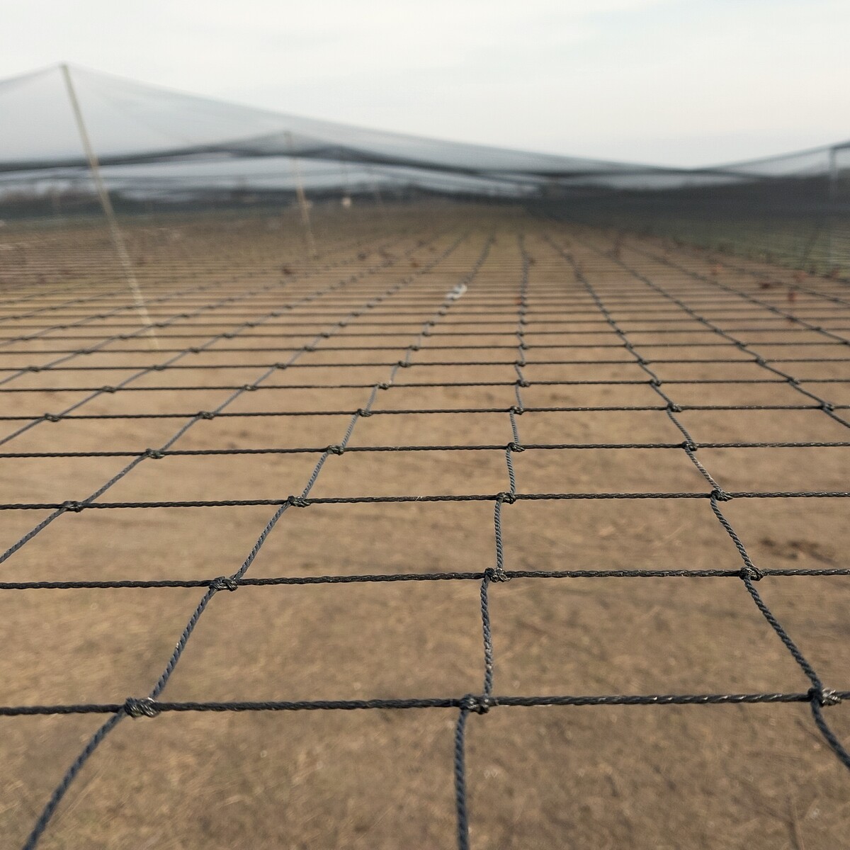 Polyethylene netting for aviaries made to measure mesh 10 x 10 cm