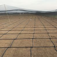 Polyethylene netting for aviaries made to measure mesh 10 x 10 cm