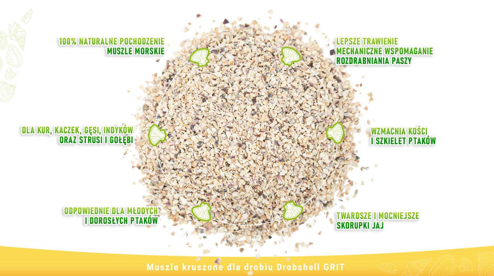 Benefits of Marine Shell Grit for Chickens