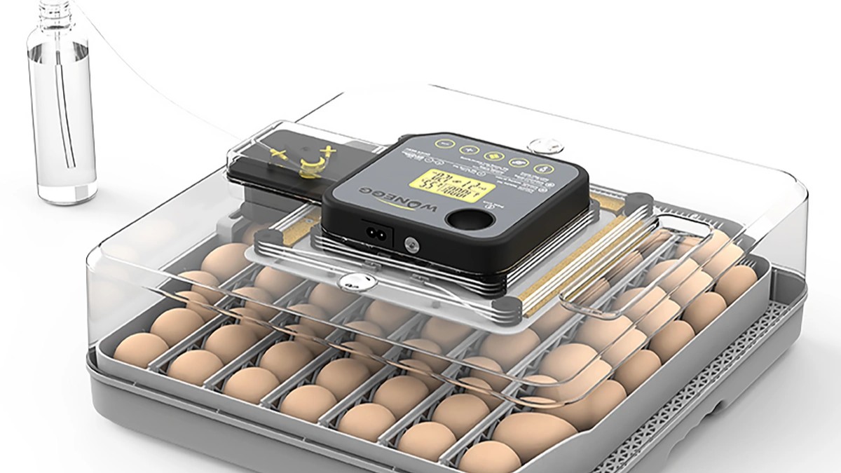 OVOstart 48 Automatic Egg Incubator with Humidity Pump