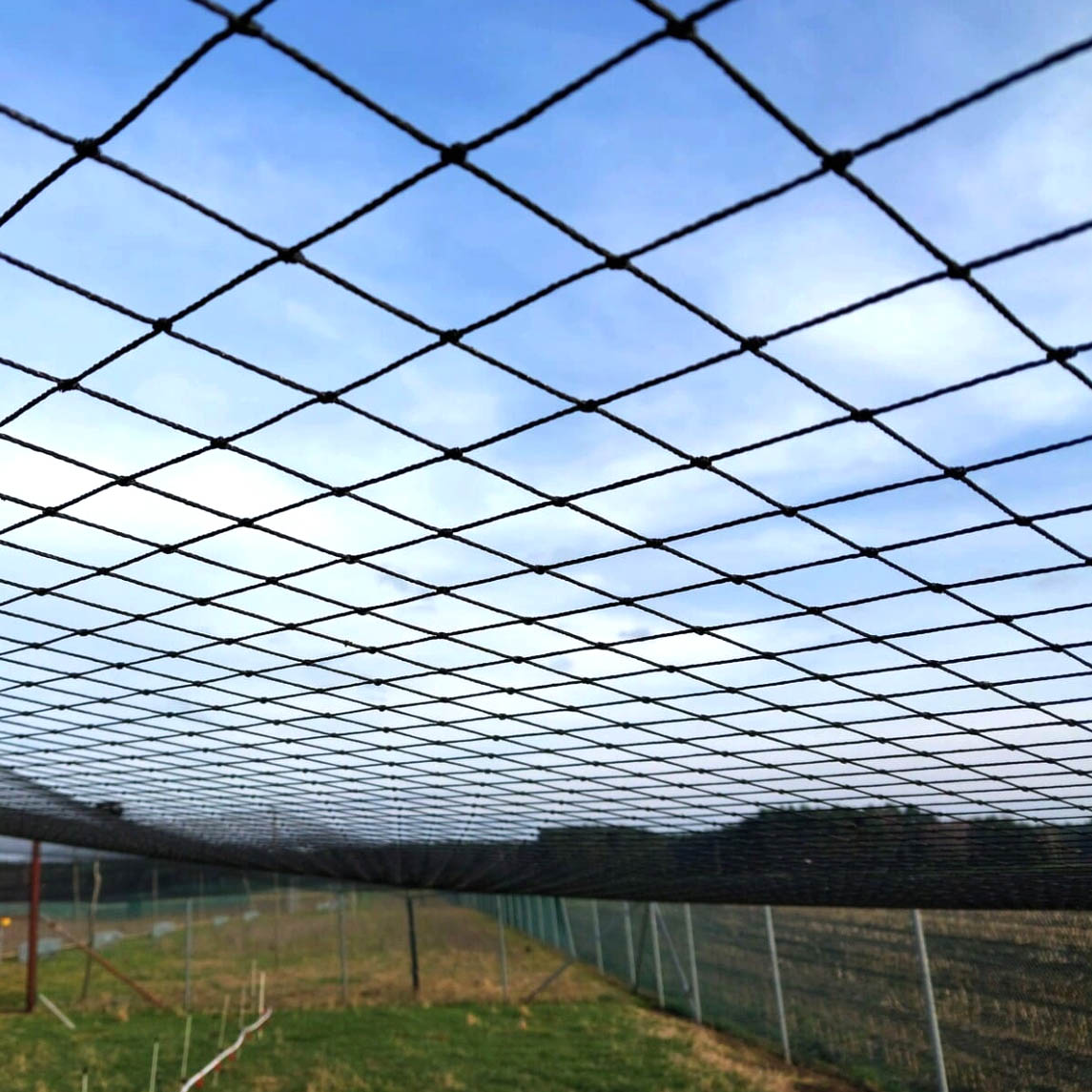 Polyethylene mesh nets