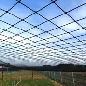 Polyethylene mesh nets