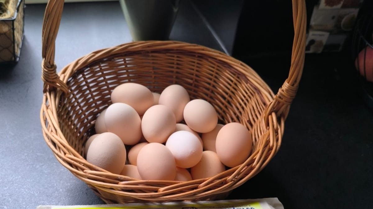 Farm-fresh eggs in a basket