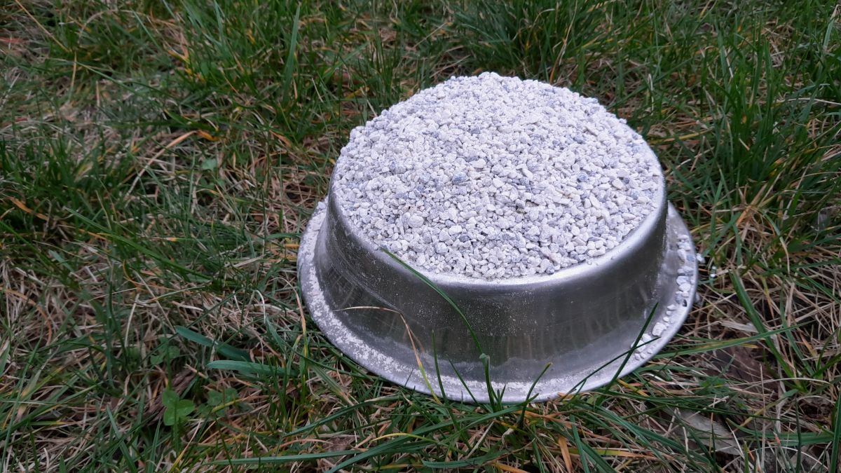 feed-grade chalk for chickens in a bowl