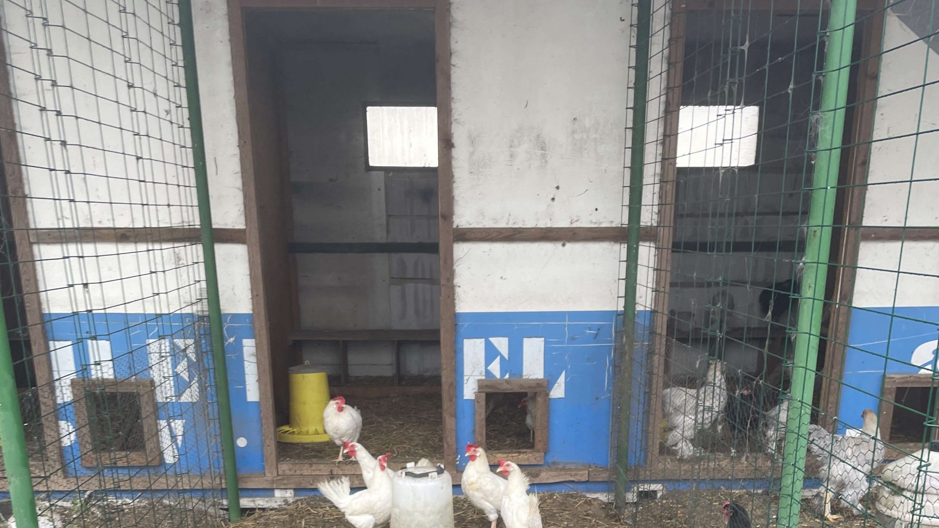 Chicken coop made from a container