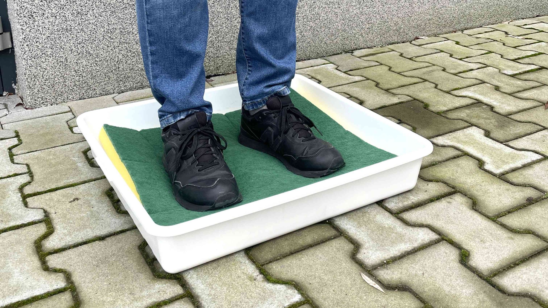 Footwear disinfection tray in front of a backyard chicken coop