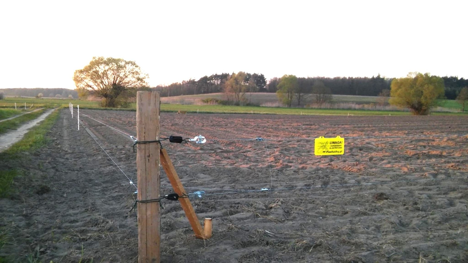 electric fence around a newly sown maize field