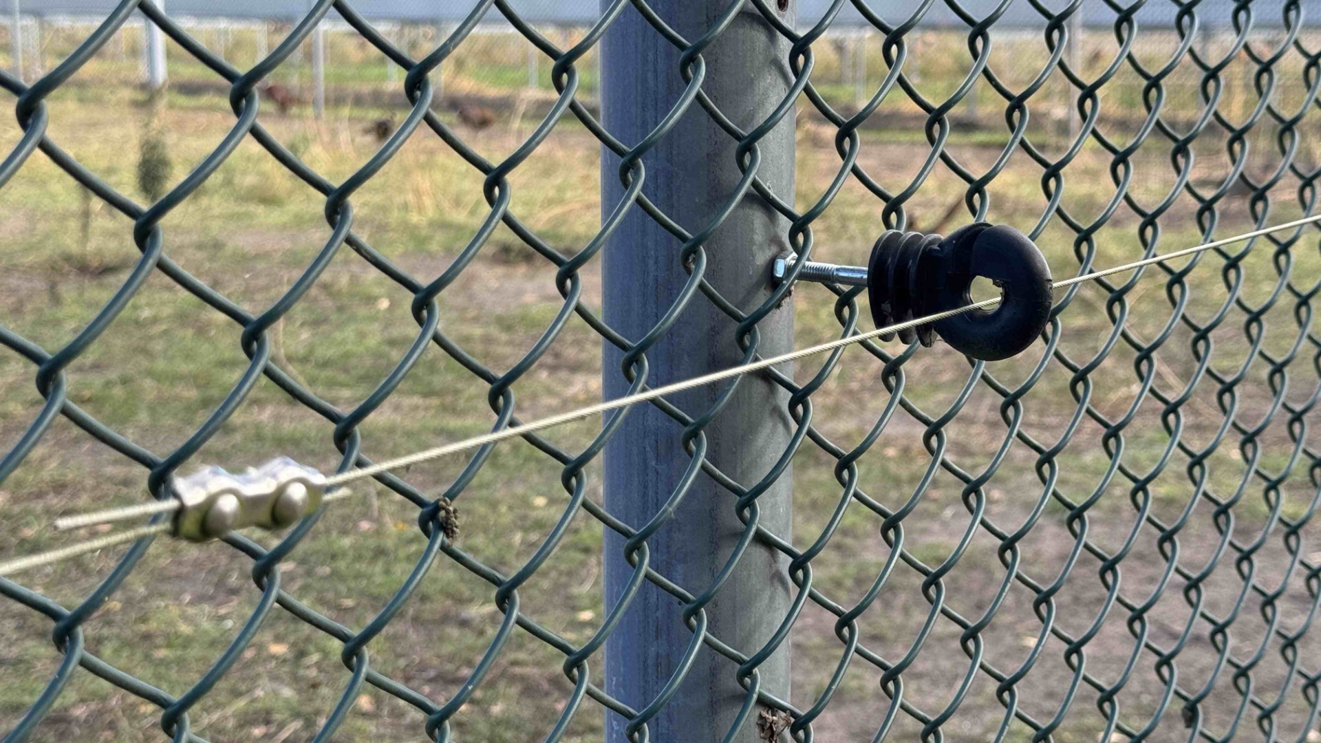 Electric fence for fox deterrence