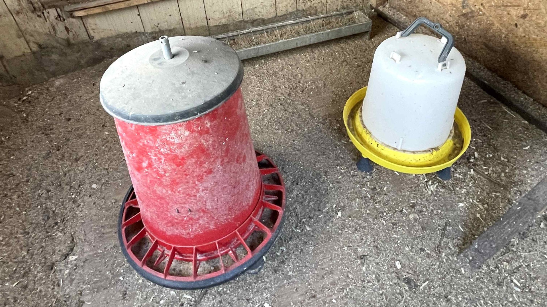 Dirty feeder and drinker in a chicken coop