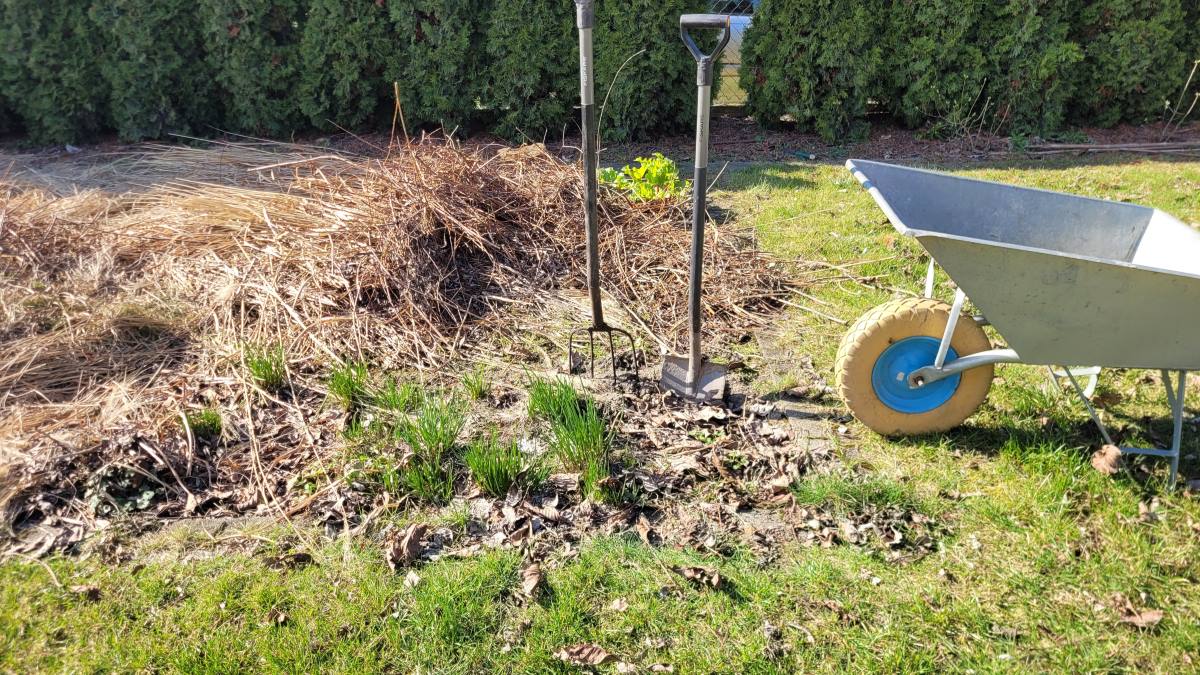 Spring garden maintenance