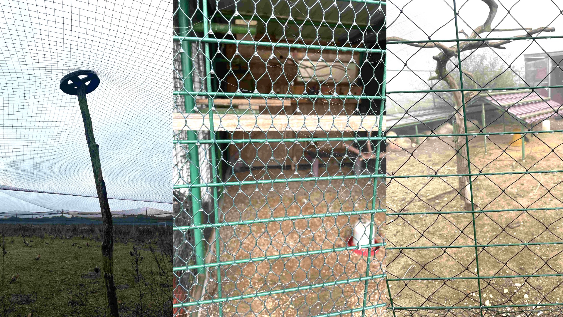 Aviary netting for poultry