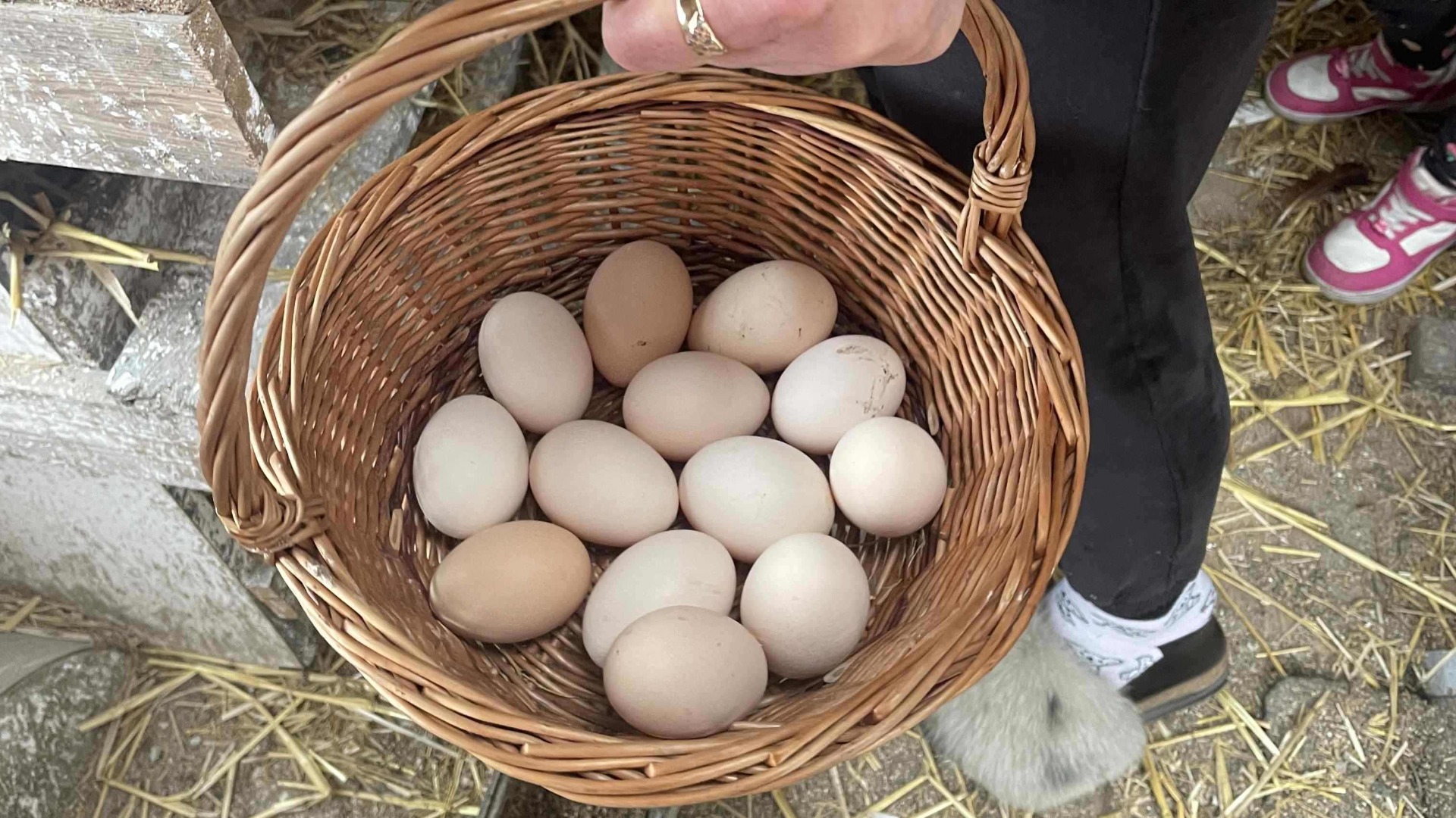 Farm-fresh eggs in a basket