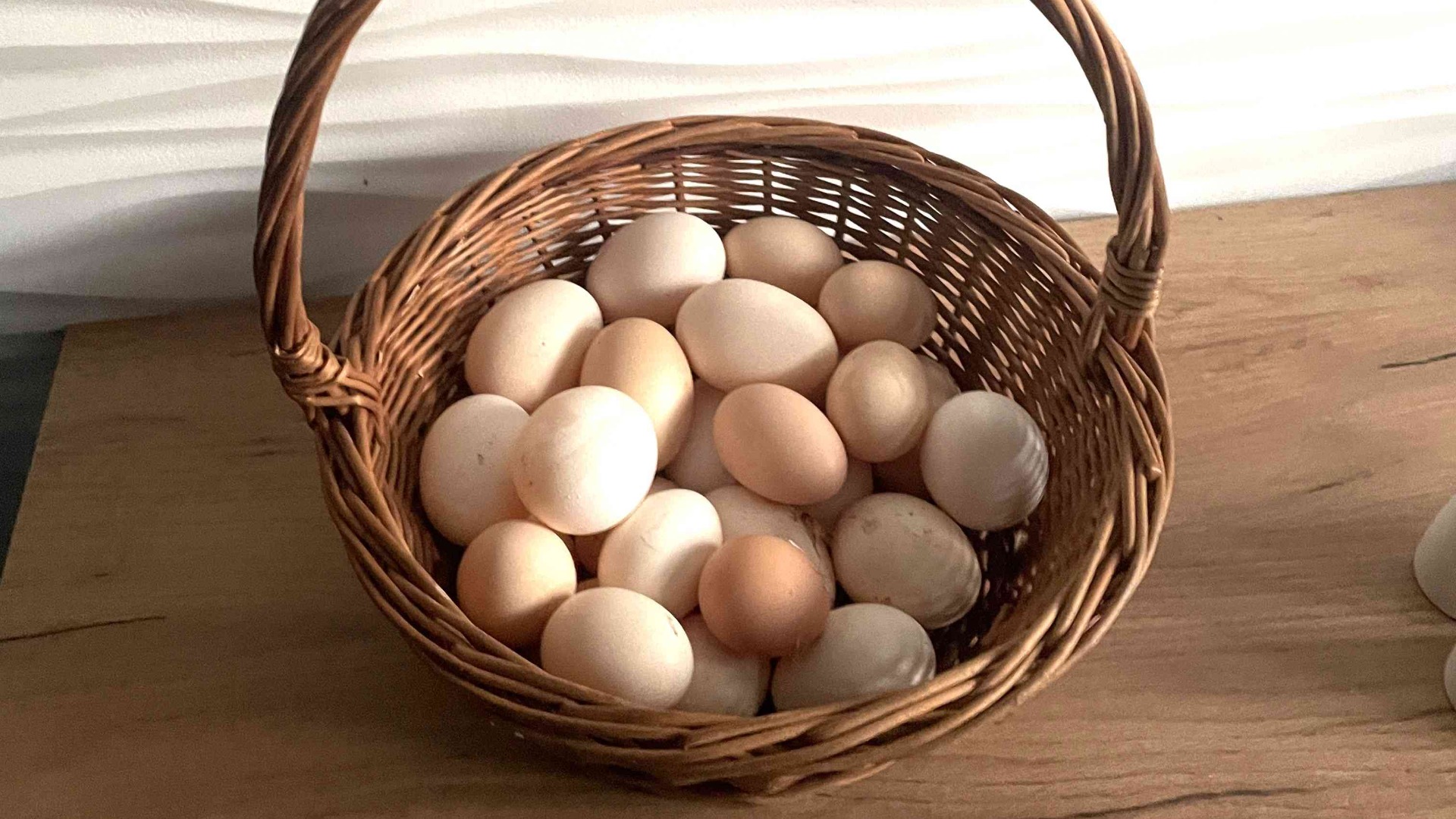farm-fresh eggs and eggshells