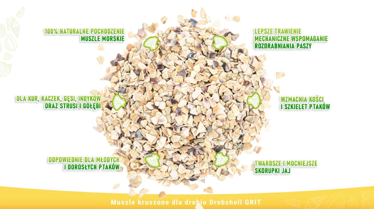 benefits of oyster shells for chickens